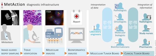 The MetAction diagnostic pipeline.